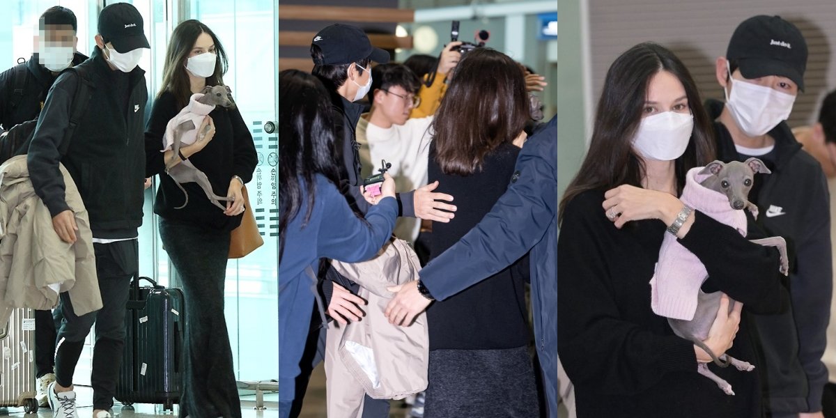 10 Portraits of Song Joong Ki and Katy Louise Saunders Ready to Fly to Hungary, Praised for Taking Care of His Wife at the Airport - Bringing Their Pet Dog