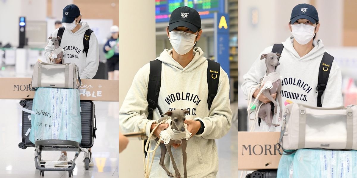 10 Pictures of Song Joong Ki Returning to Korea, Adorably Carrying His Pet Dog at Incheon Airport