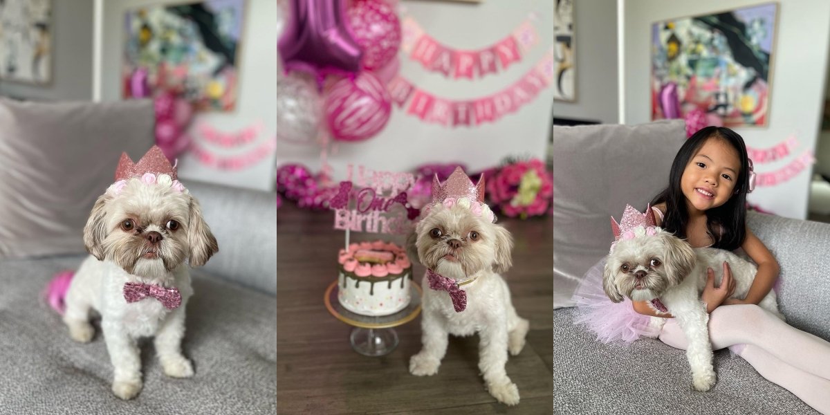 10 Portraits of Farah Quinn's Pet Dog's Birthday, Celebrated with a Grand Party - Dressed up like a Princess