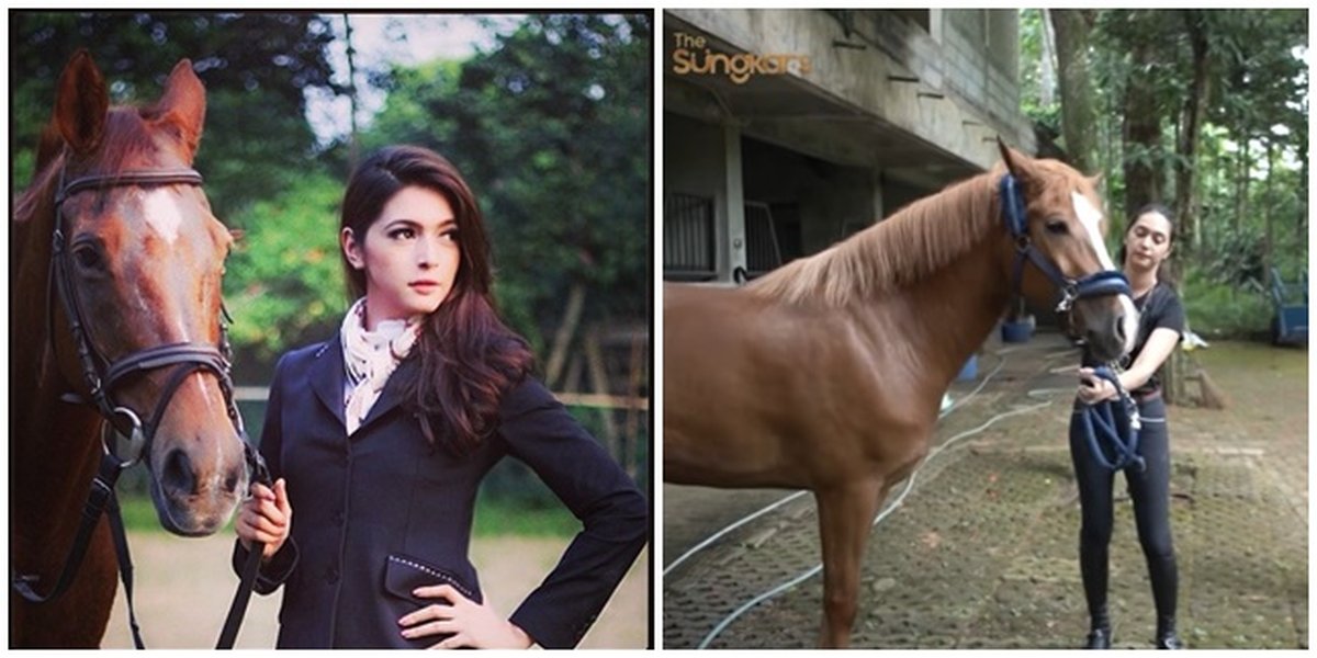 11 Pictures of Nabila Syakieb's Horse Field, 14 Hectares Wide - Where Rafathar's Horse is Kept