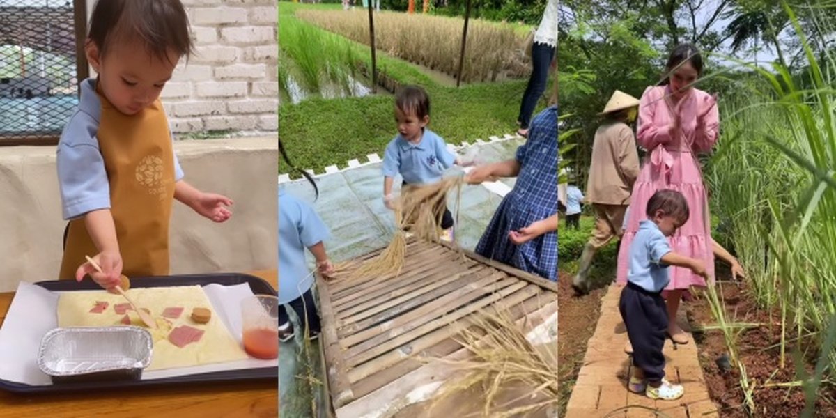 11 Photos of Claire, Shandy Aulia's Daughter, Having Fun on Her First School Excursion with Her Mother, Harvesting Rice - Making Pizza Herself