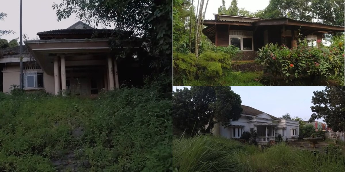 11 Abandoned Celebrity Houses for Years, Overgrown with Wild Plants and Eerie Atmosphere