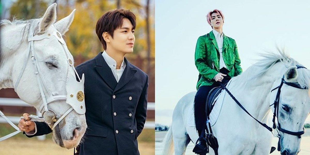 6 Facts about Maximus, Lee Min Ho's Horse, who Appears in Sehun EXO's 'On Me' MV Track