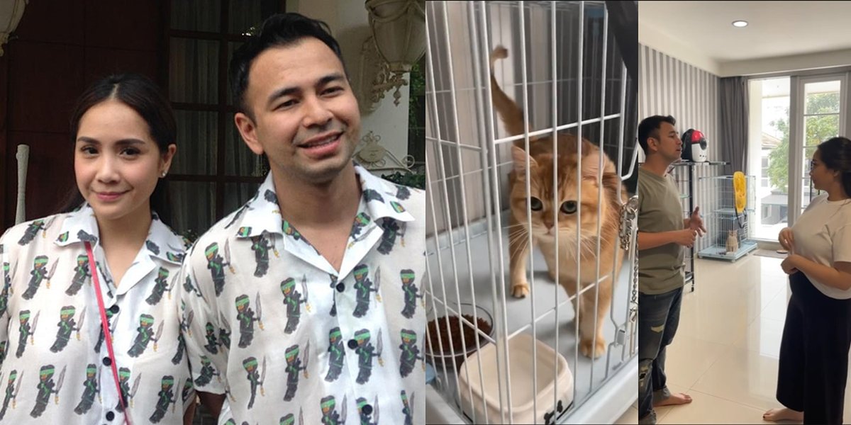 7 Portraits of Raffi Ahmad and Nagita Slavina's Cat Room, Very Spacious - There is a Luxurious and Cool Aluminum Cage