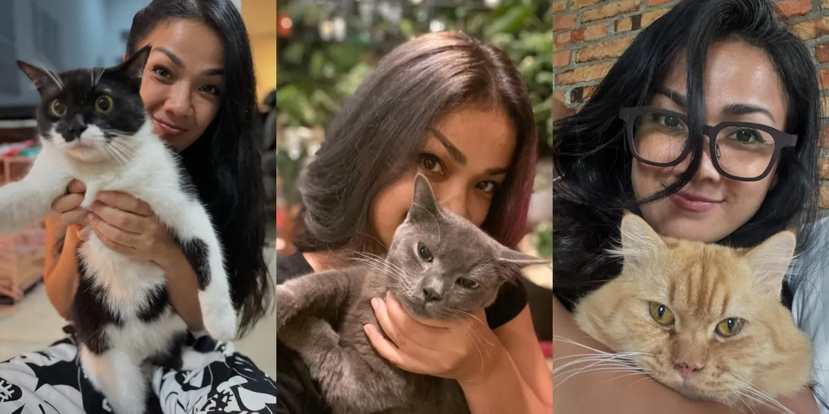 7 Portraits of Nirina Zubir Caring for Dozens of Cats at Home, Reminiscing Dramatic Moments of Saving a Cat While Biking