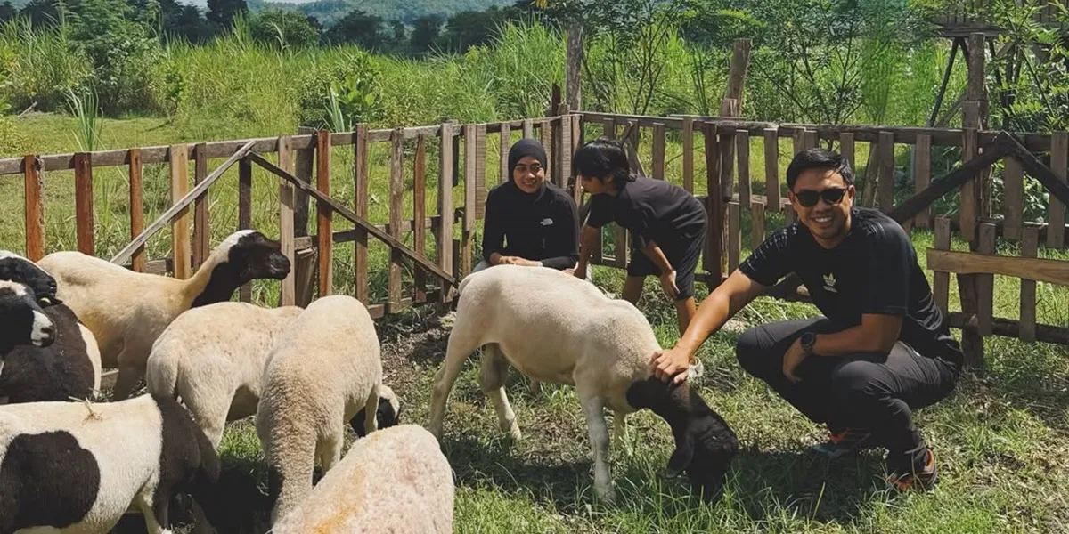 7 Photos of Ayudia Bing Slamet's Sheep Farm in Klaten, Beautiful View Like in Switzerland
