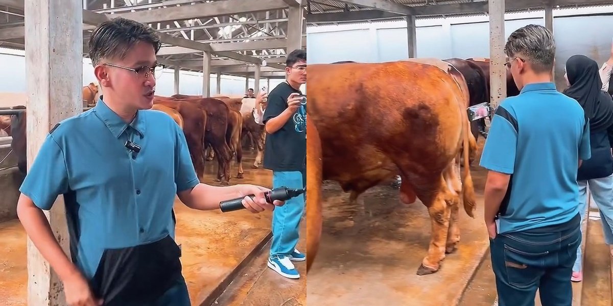 7 Photos of Ruben Onsu Choosing Qurban Cows for Idul Adha Since Converting to Islam, Hoping to Be Beneficial