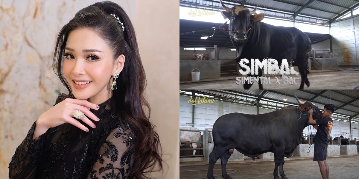 7 Portraits of Maia Estianty's Sacrificial Cattle, Choosing the Jumbo - Irfan Hakim as the Intermediary