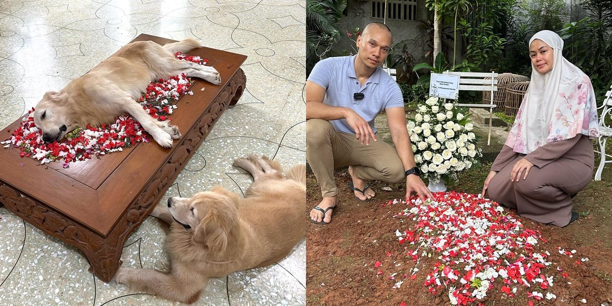 8 Photos of Snowee's Smart Dog Funeral Netizens Owned by Bima Aryo, Celebrities Mourn