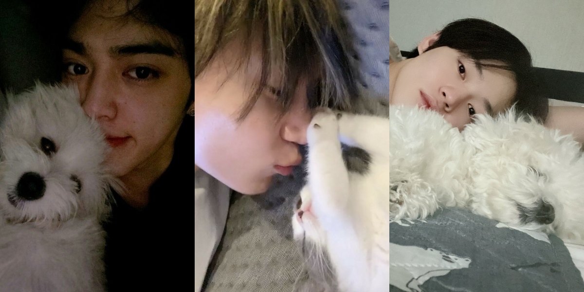 8 K-Pop Idols Who Love Their Pets So Much, Considered as Their Own Children - Making Fans Want to Be Their Pets