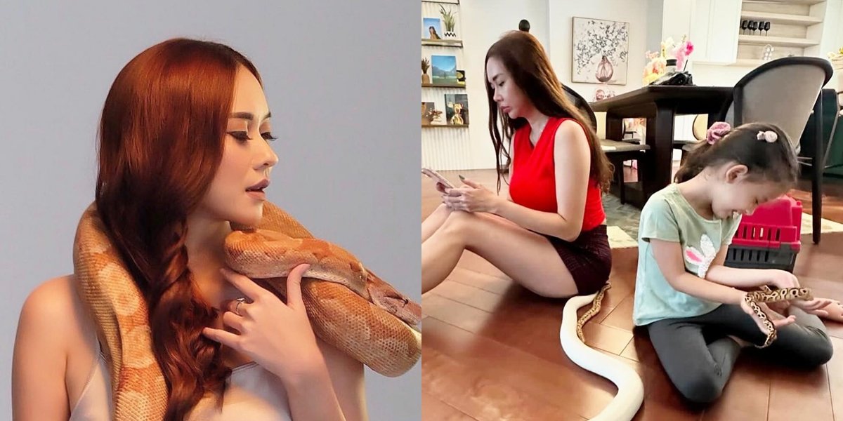 8 Photos of Aura Kasih Playing with Snakes Inside the House, Her Child's Head Wrapped Around Makes Netizens Cringe