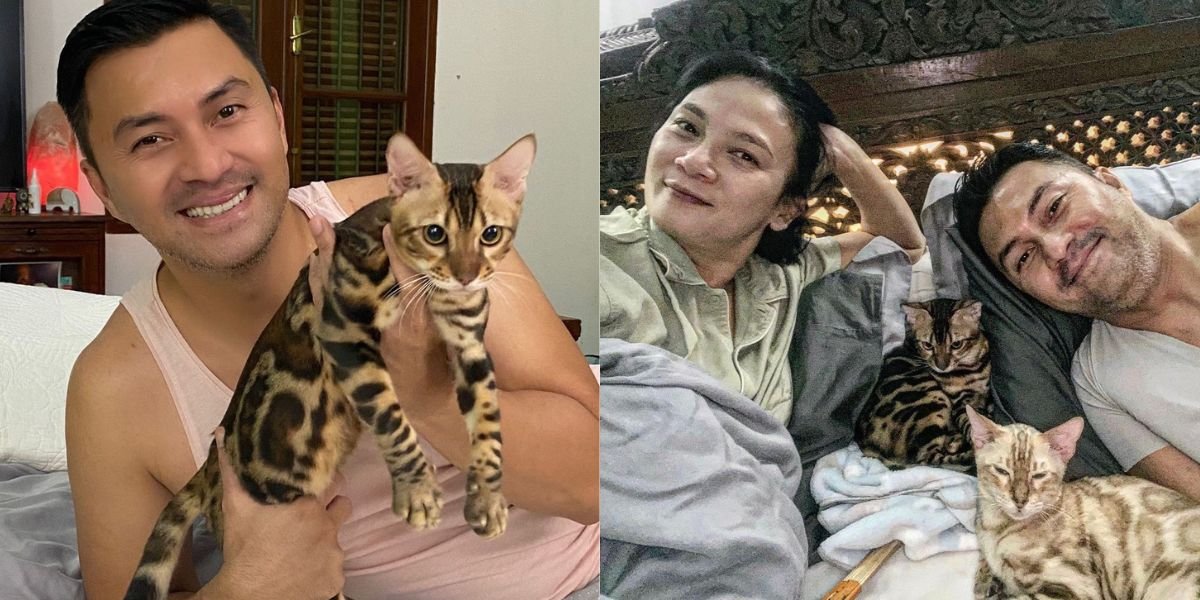 8 Portraits of Dian Nitami and Anjasmara with Cats, Lucky Kids to Have Anabul