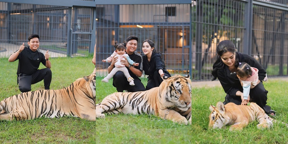 8 Portraits of Denny Caknan's Family Playing with Tigers, Dek Cunda & Bella Bonita Relaxing - Dad Looks Tense