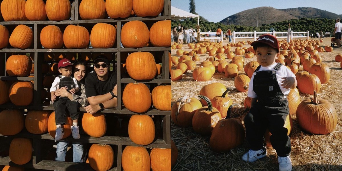 8 Photos of Nikita Willy in the Pumpkin Garden, Relaxing and Enjoying Family Holiday Moments