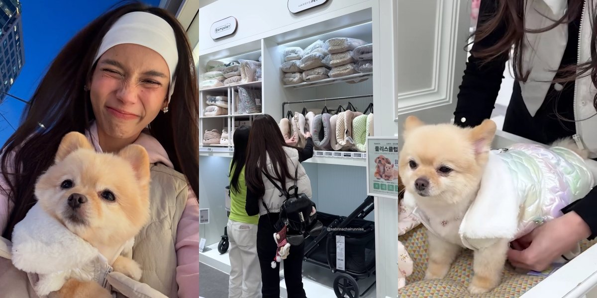 8 Photos of Sabrina Chairunnisa Going on a Shopping Spree for Stroller - Clothes for Chanel in Korea, Reimbursed to Deddy Corbuzier: Not the People's Money Yesss