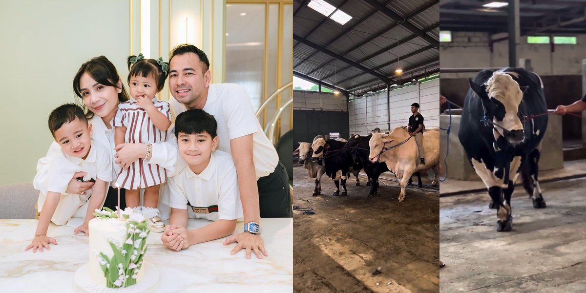8 Portraits of the Sacrificial Cattle Owned by Raffi Ahmad, Directly Bought 4 - Received a Bonus for Lily