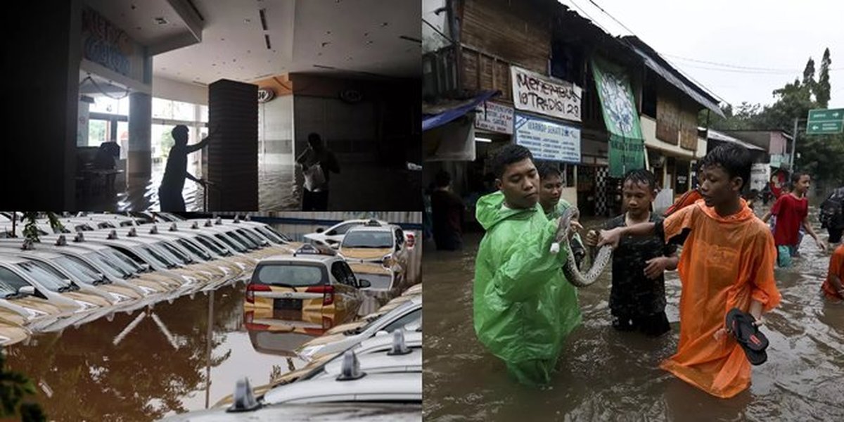 8 Photos of Flood Situation in Jakarta: Malls to Taxi Stations Submerged - Residents Find Snakes!