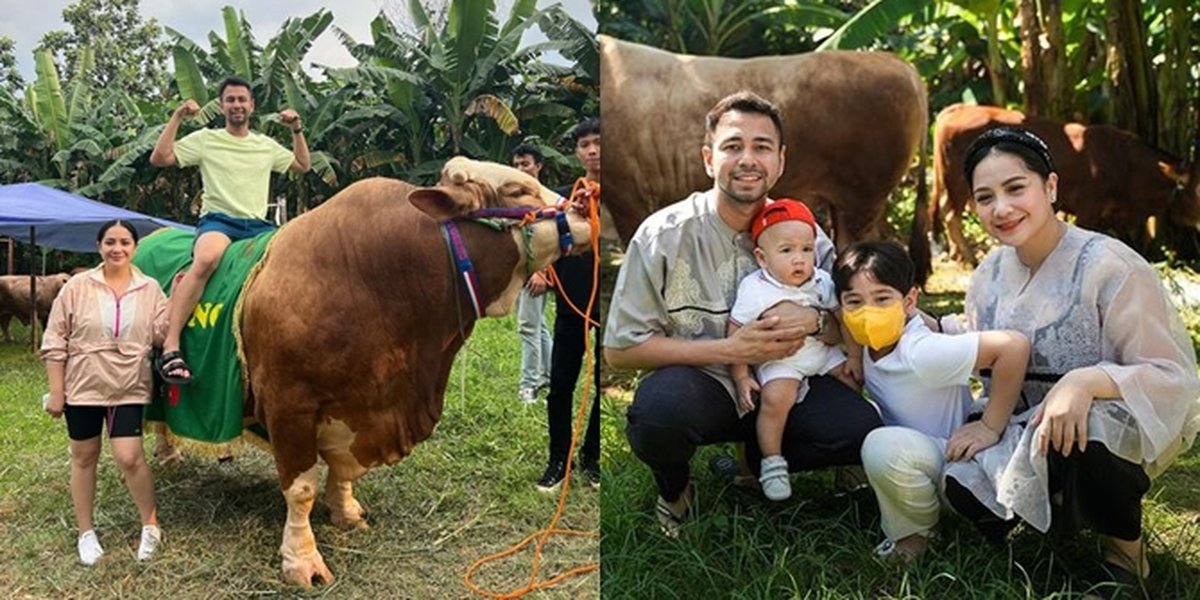 There is a Jumbo Size! Portraits of Raffi Ahmad Cutting Sacrificial Animals, Accompanied by Nagita Slavina and Their Two Sons