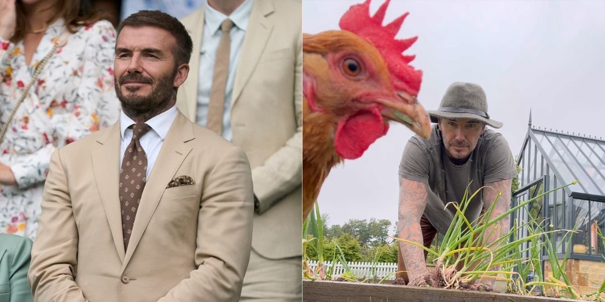 David Beckham Shows Off His Gardening Activities After Retiring as a Football Player