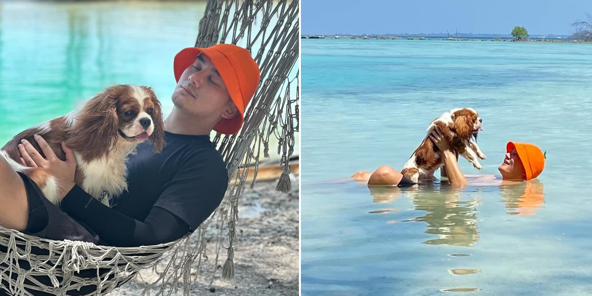 Left by Ayu Ting Ting's Proposal, Boy William Goes Healing to the Island Alone