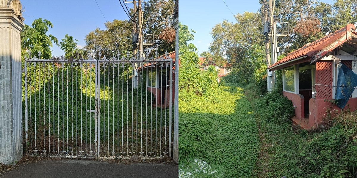 Formerly a Frequent Shooting Location, 10 Photos of the Abandoned and Overgrown Genta Buana Luxury House