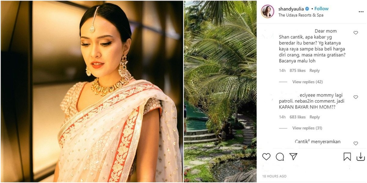 Controversy: SA Artist Allegedly Violates Endorsement Agreement and Delays Payment for Shopping Goods, Netizens Swarm Shandy Aulia's Instagram
