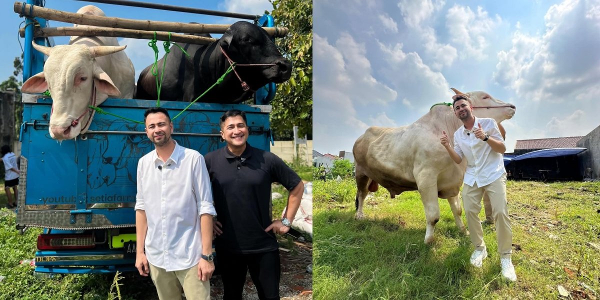 Ahead of Eid al-Adha, 7 Photos of Raffi Ahmad Buying Sacrificial Cows from Irfan Hakim's Farm
