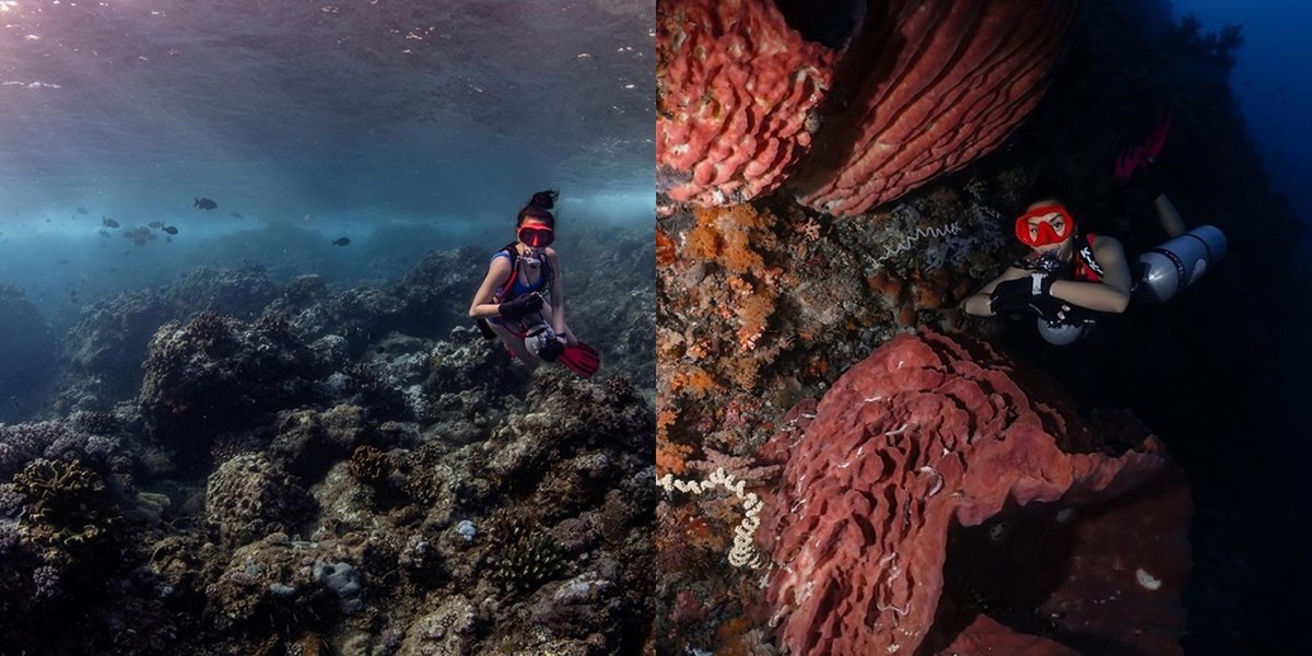 Frequently Explore Beautiful Nature Spots, Take a Peek at 8 Photos of Kirana Larasati Diving with Fish and Coral Reefs - Enjoy the Enchanting Beauty of the Sea Floor