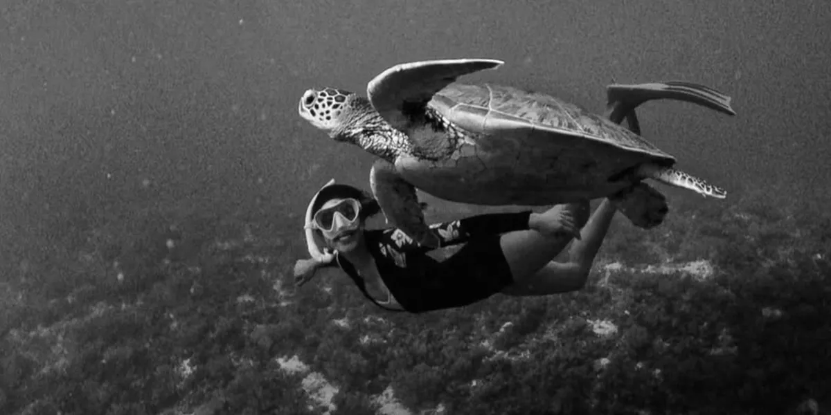 Fun Vacation Like Yasmin Napper, Relaxing at the Beach - Swimming with Turtles