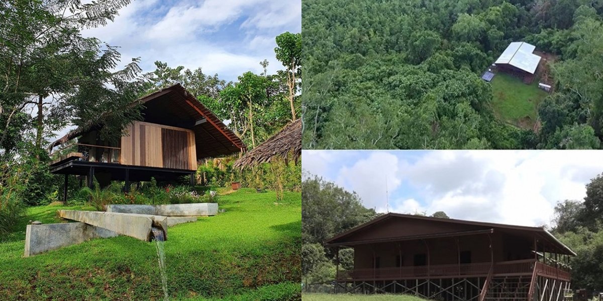 Merge with Nature, a Series of Celebrities Have Houses in the Middle of the Forest - Complete Facilities Including a Swimming Pool