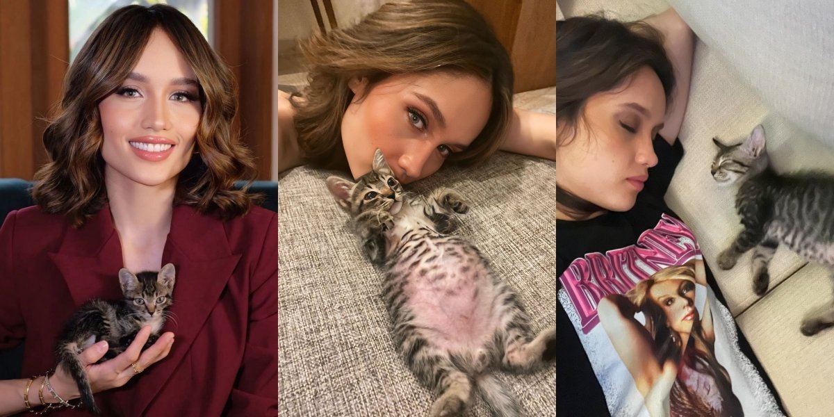 Adding a New Pet, 7 Photos of Cinta Laura with Spikey the Mujair Cat - Instantly Falling in Love at First Sight