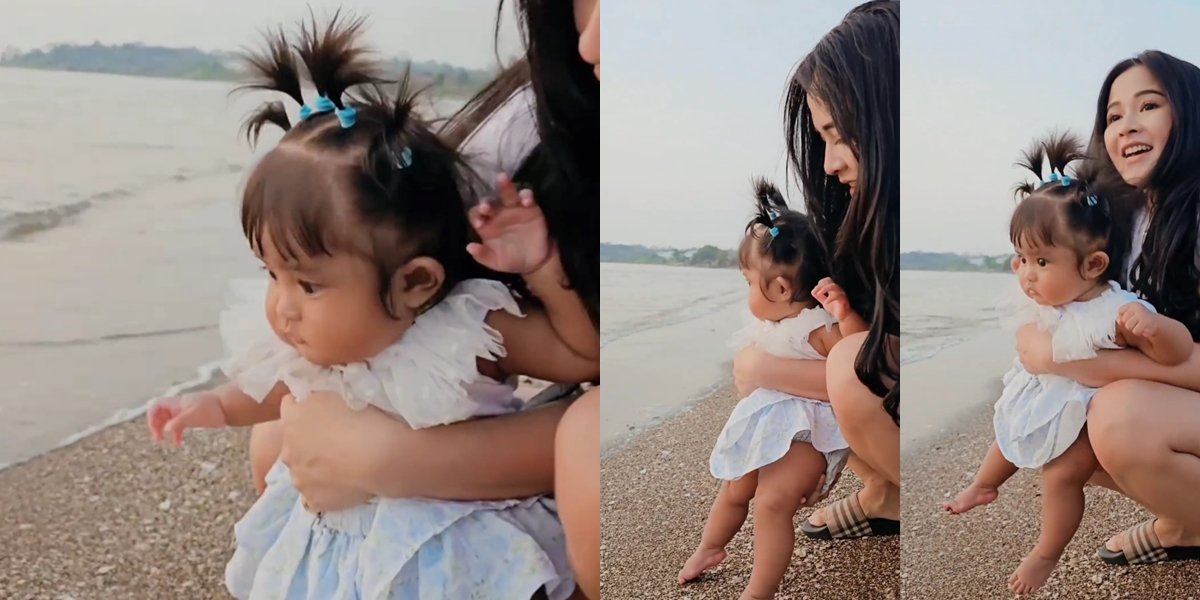 First Time at the Beach, Cundamani's Photos Playing in the Sand - His WiFi Antenna is Adorable