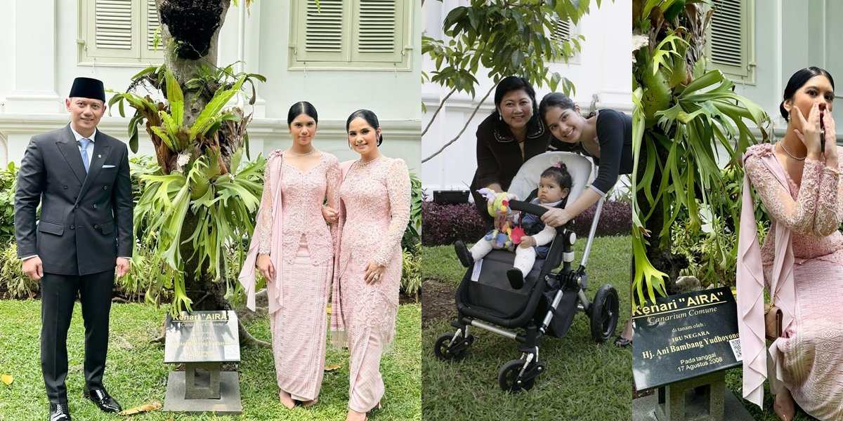 Portrait of Aira, Annisa Pohan's Child, Visiting the Walnut Tree Planted by Mrs. Ani for Her at the State Palace, Touching