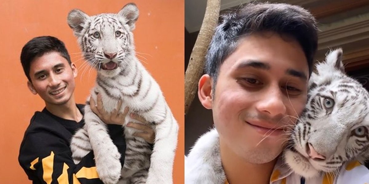 Portrait of Alshad Ahmad, Raffi Ahmad's Cousin, Taking Care of Sick Selen 'White Bengal Tiger', Giving a Hug - Selfie Photo Together