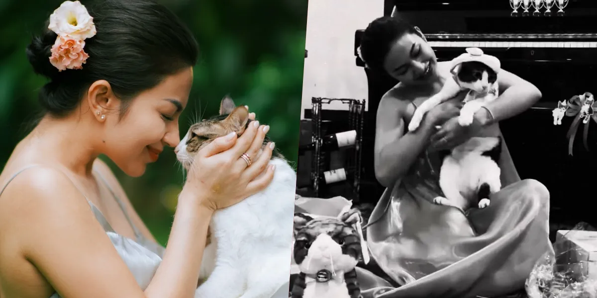 Ariel Tatum's Portrait Celebrates Her Beloved Cat's Birthday, Complete with a Birthday Cake and Dozens of Gifts