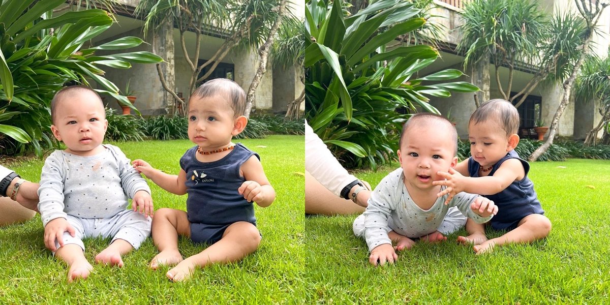Portrait of Baby Don and Baby Izz Playing Together Sitting on the Grass, Two Adorable Babies Who are Besties - Cute and Adorable Fighting Over Toys