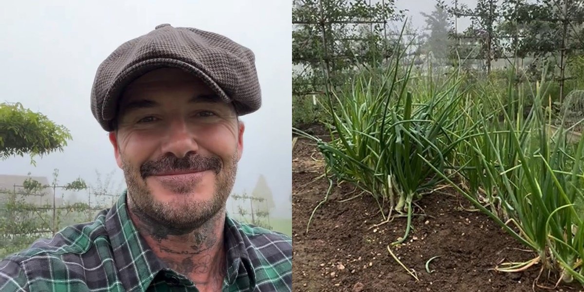 Portrait of David Beckham Raising Chickens and Gardening, Life After Retirement Goes Viral on Social Media