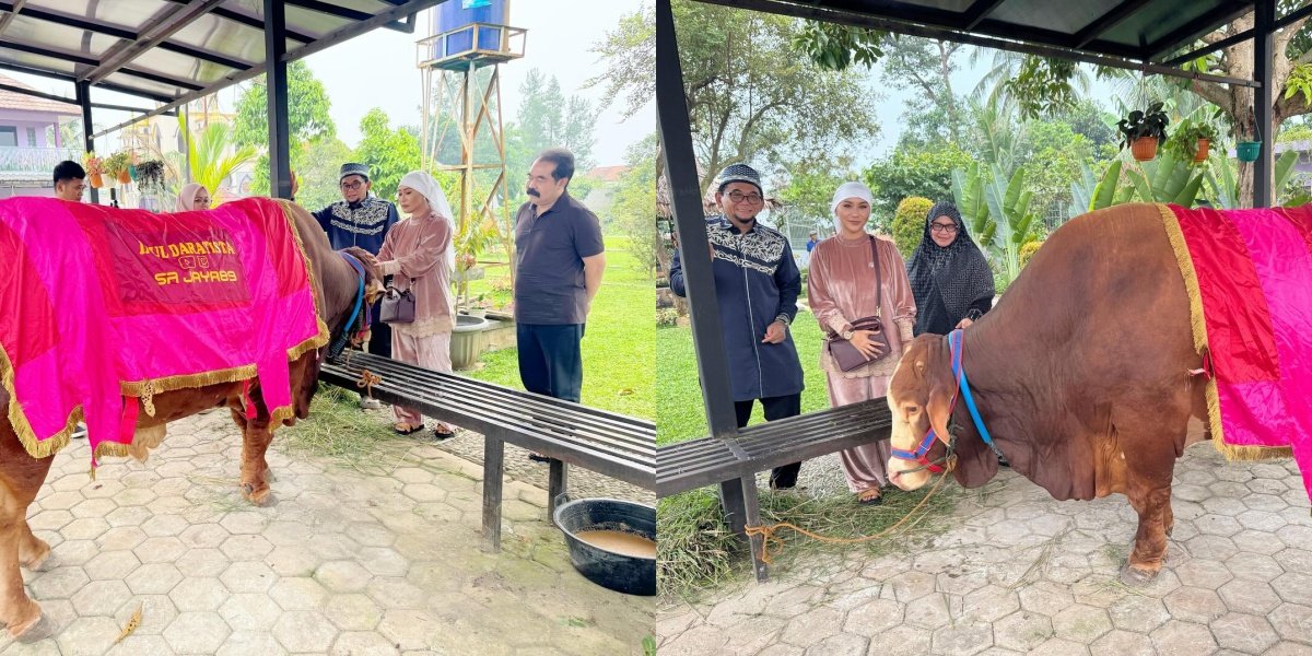 Portrait of Inul Daratista Handing Over a Cow Named 'Haji' to Ustaz Subki, Total Sacrifice of 5 Cows