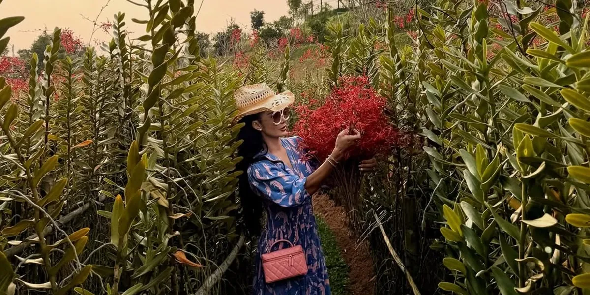 Portrait of Krisdayanti Gardening, Stunningly Chic in Dress and Hat While Enjoying Rose Picking