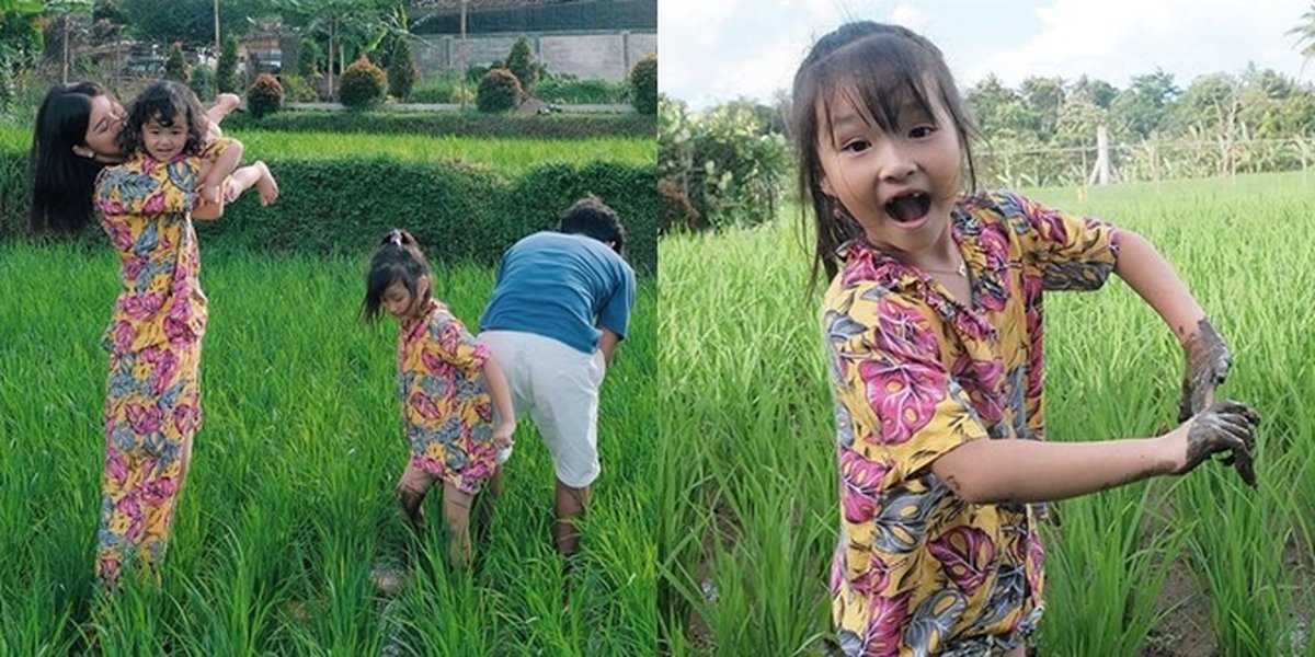 Family Vacation Portraits of Sarwendah and Ruben Onsu in the Countryside Villa, Excitingly Playing in the Rice Field Mud - Harvesting Peanuts!