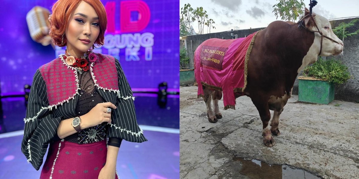 Portrait of Inul Daratista's Sacrificial Cattle Bought from Savings, Telling How She Managed to Buy 4-5 Cows