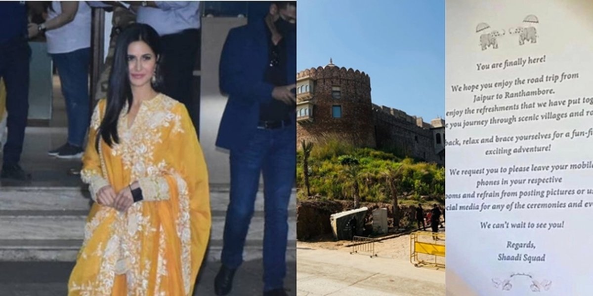 Portrait of Katrina Kaif - Vicky Kaushal's Wedding Preparations, Guests Arrive - Complicated Rules and Spectacular Menu