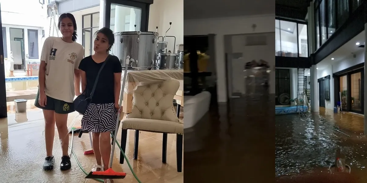 Portrait of Tamara Geraldine's Luxury House as a Flood Victim, Twice in Two Days