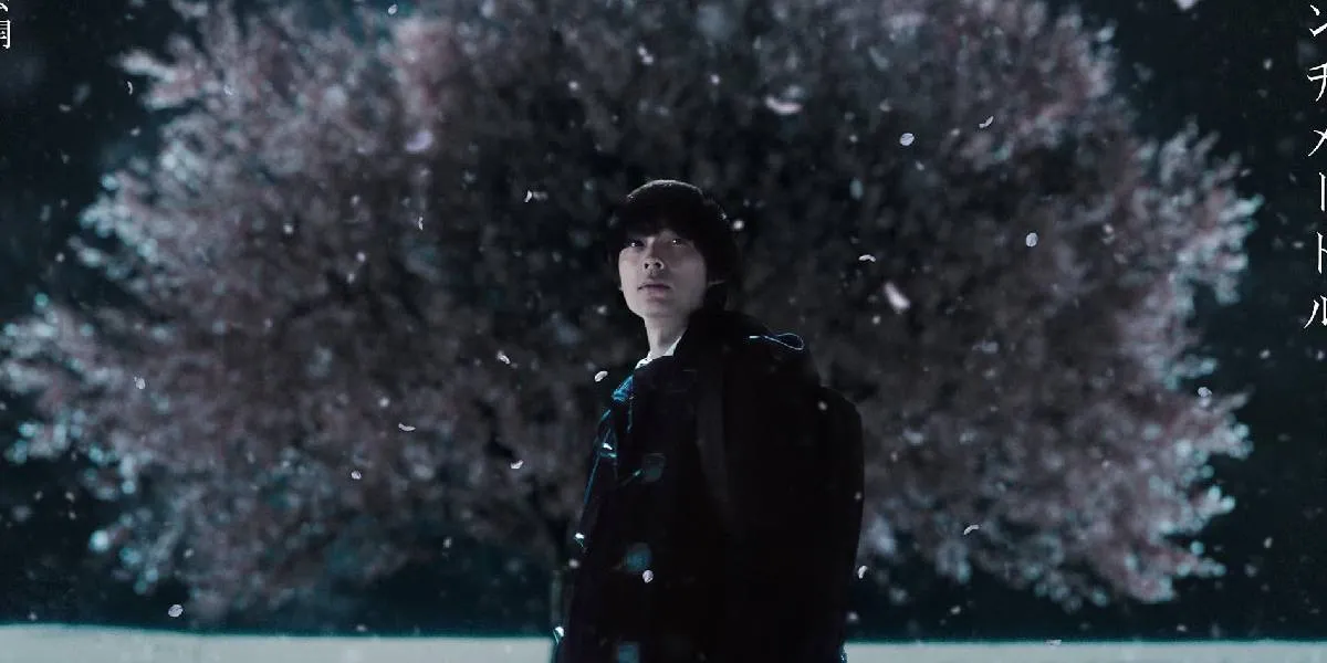 Recommendations for Live Action Romance That Are Just as Good as 5 CENTIMETERS PER SECOND