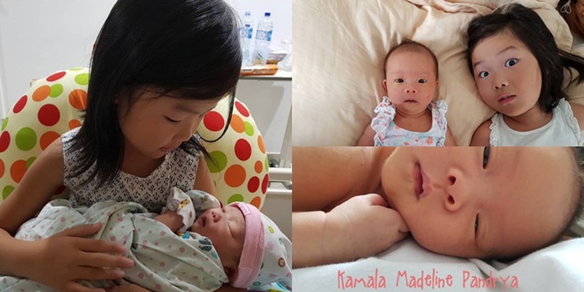 A Series of Portraits of Cici Panda's Second Child, Cute and Adorable