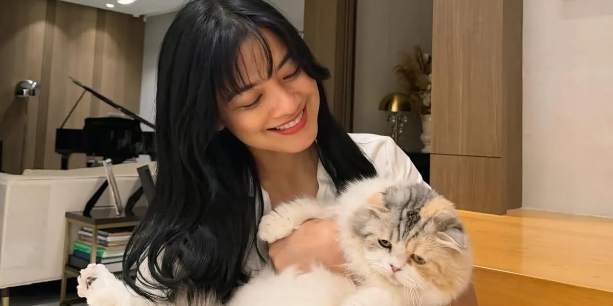Titi Kamal Chooses to Play with a Cat After a Tiring Day at Work, Her Bangs Make People Take Notice