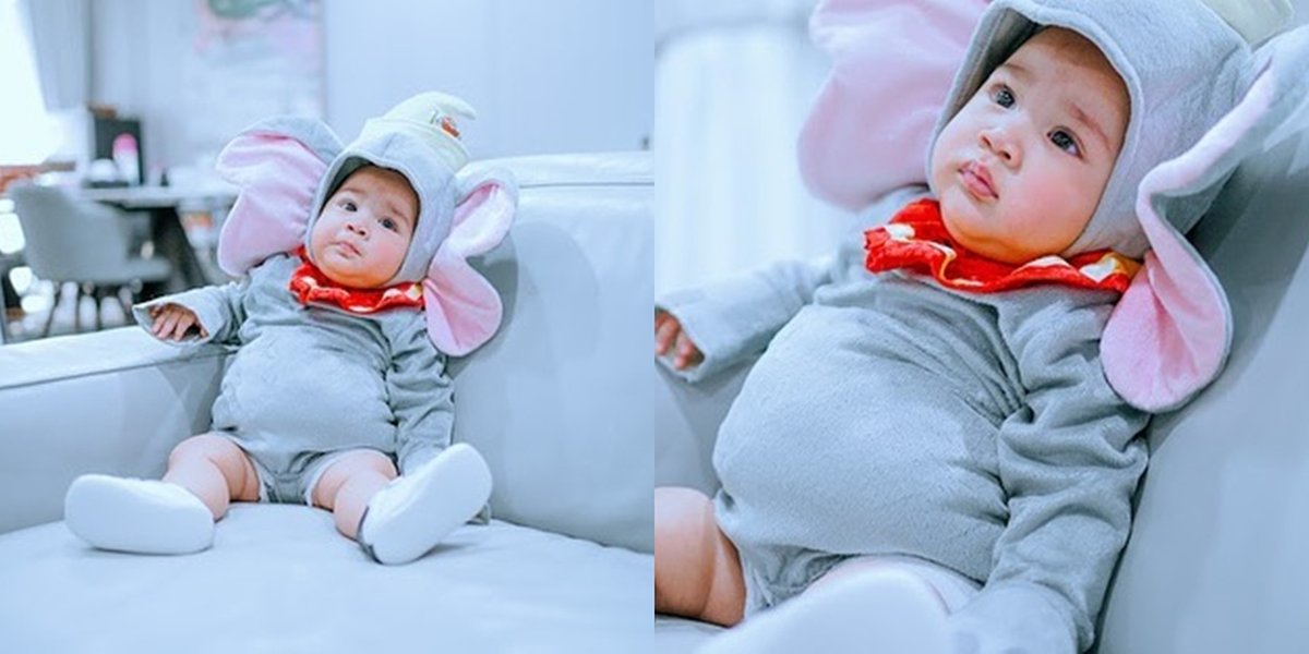 After Becoming a Banana, Take a Look at Baby Rayyanza's Portrait, the Cute Son of Nagita Slavina and Raffi Ahmad Wearing an Elephant Costume - Chubby Belly Becomes the Highlight