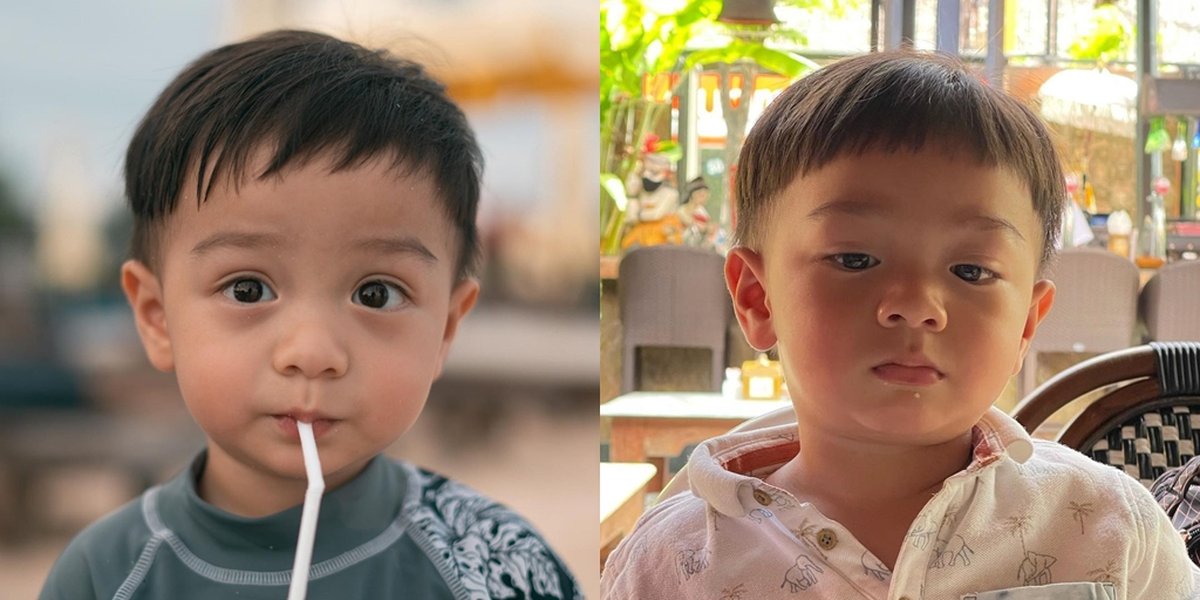 Almost Two Years Old, Here are 7 Latest Portraits of Baby Air, the Son of Ammar Zoni and Irish Bella, Who is Called Handsome - After This, He Will Become a Big Brother