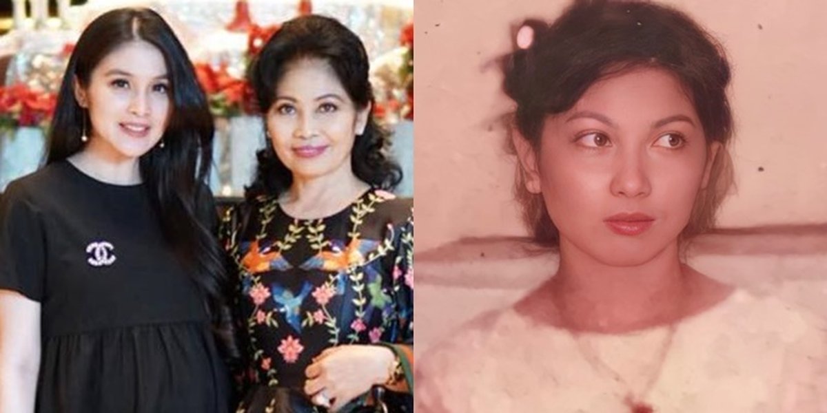 Passing on Beauty to Children, Portraits of Catharina Erliani, Sandra Dewi's Fashionable Mother - Flying on a Private Plane with Her Daughter-in-law
