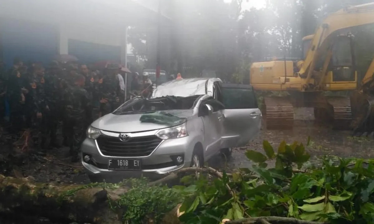 1 Orang Meninggal Dunia Tertimpa Pohon Akibat Puting Beliung di Bogor